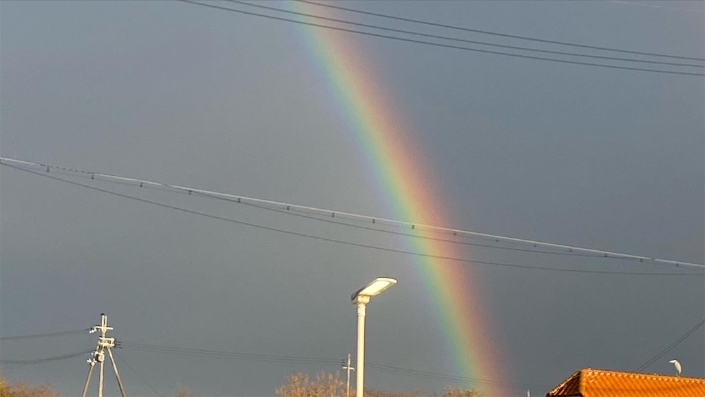 f:id:fouresourire:20211113141121j:image f:id:fouresourire:20211113141121j:image