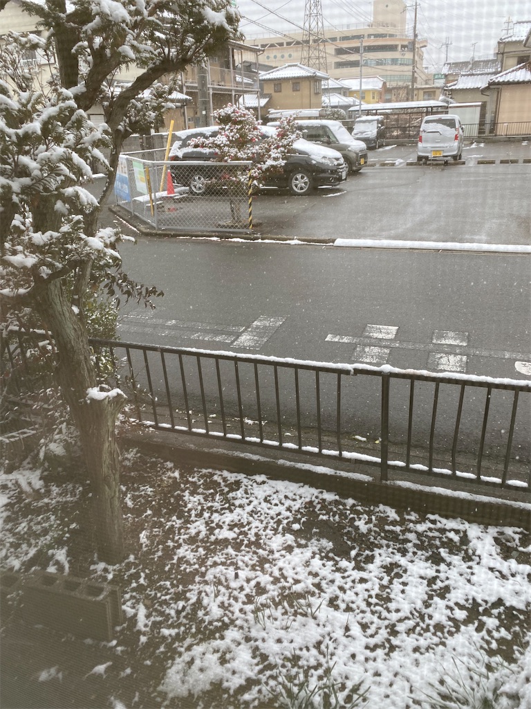 f:id:fouresourire:20220207111345j:image f:id:fouresourire:20220207111345j:image