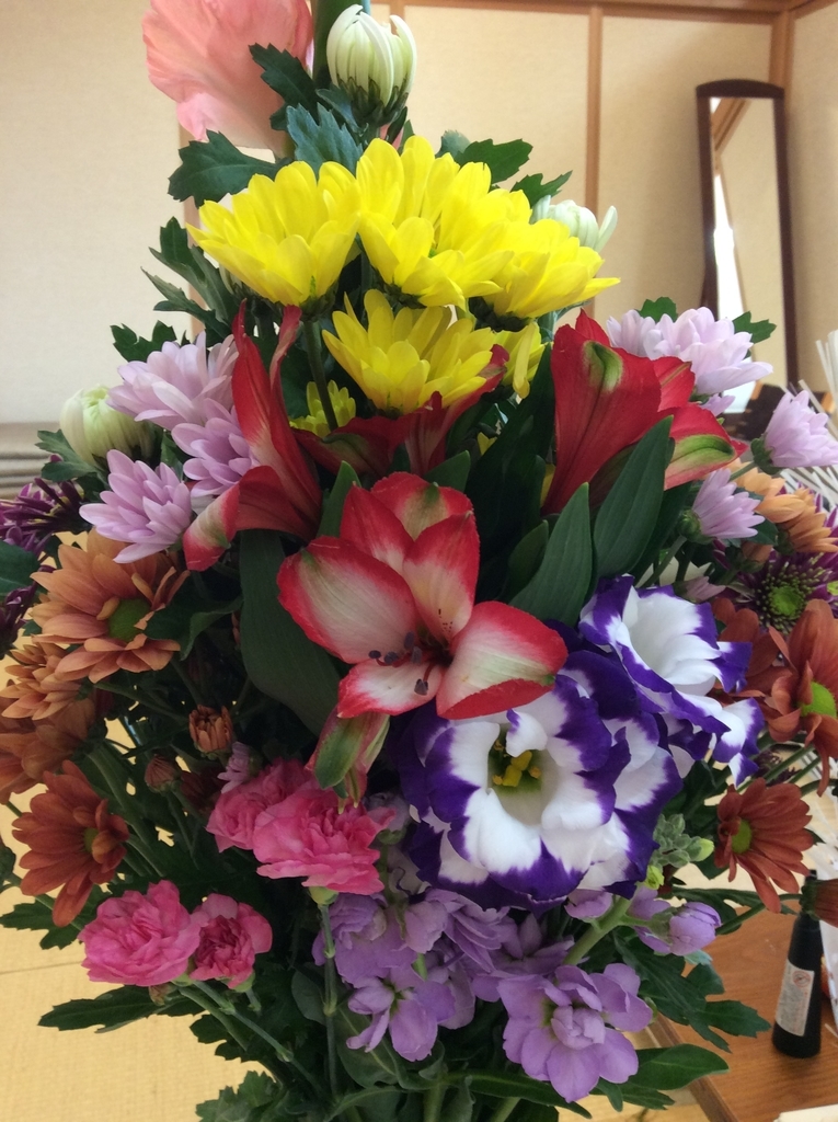 f:id:fourleaves10:20190312182137j:plain f:id:fourleaves10:20190312182137j:plain