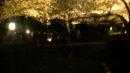 f:id:fourrami:20130404200543j:image