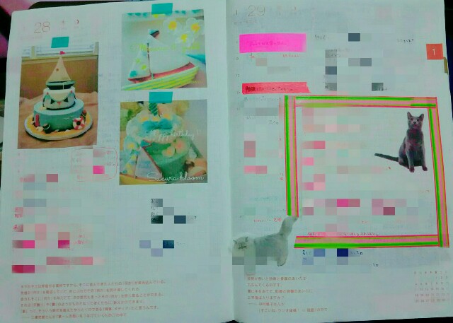 f:id:fourruredouce:20170113233053j:plain