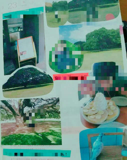 f:id:fourruredouce:20170113233646j:plain
