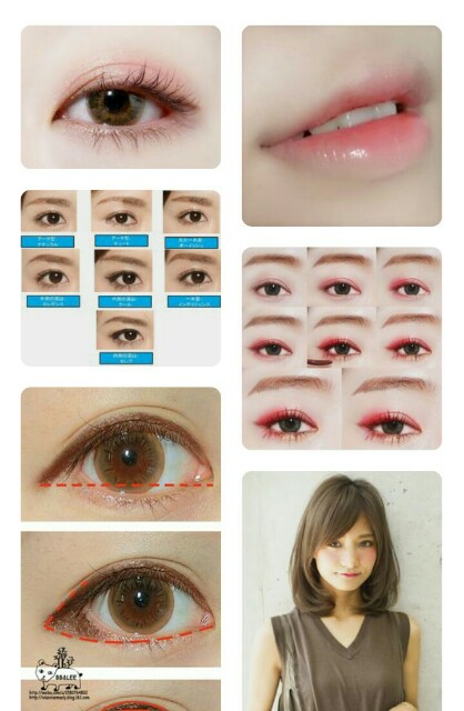f:id:fourruredouce:20170120120440j:plain