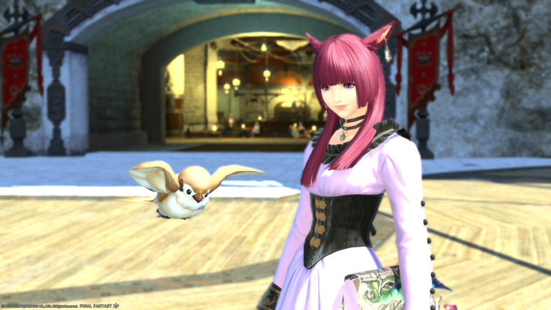 Ff14 タビスズメ Id聖モシャーヌ植物園hard ドロップチ ちいさな一歩を踏み出して Ff14プレイ日記