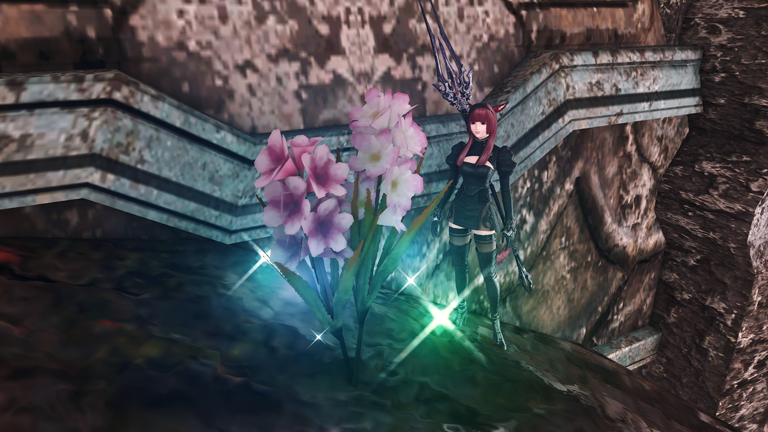Ff14 Lv 80ジョブクエストその2 モグモグコレクションその2 ちいさな一歩を踏み出して Ff14プレイ日記 Ff14 Lv 80ジョブクエストその2 モグモグコレクションその2 ちいさな一歩を踏み出して Ff14プレイ日記