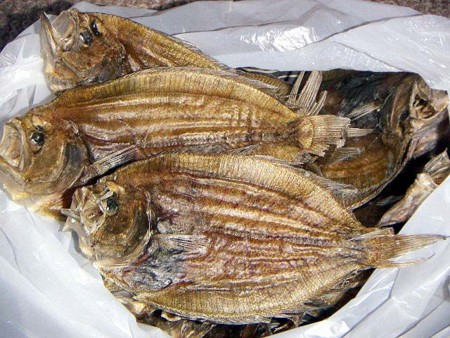 f:id:fourvalley:20100117170159j:image