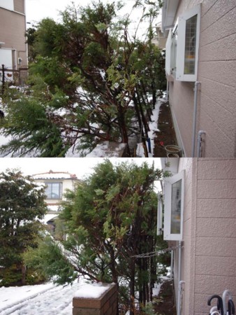 f:id:fourvalley:20110215203441j:image