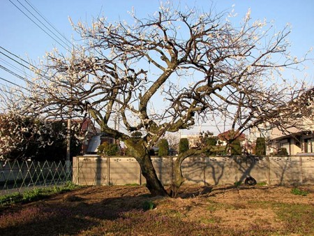 f:id:fourvalley:20120330184919j:image