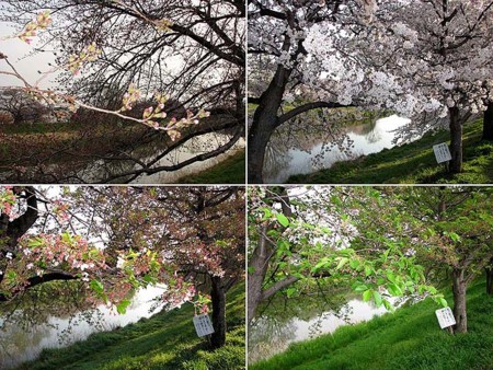 f:id:fourvalley:20120427201426j:image