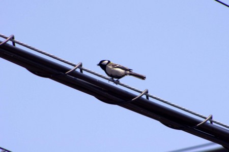 f:id:fourvalley:20120506131903j:image