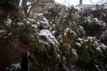 f:id:fourvalley:20130206094900j:image