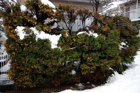 f:id:fourvalley:20140215132441j:image