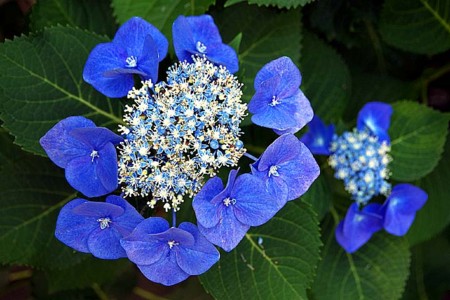 f:id:fourvalley:20140626093634j:image