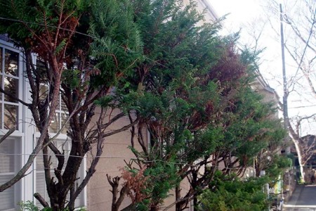 f:id:fourvalley:20160117135723j:image