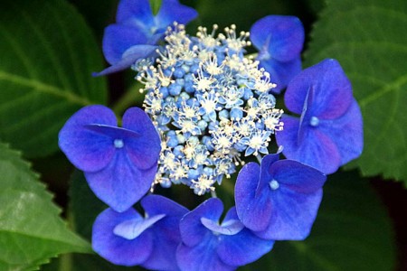 f:id:fourvalley:20160615051025j:image