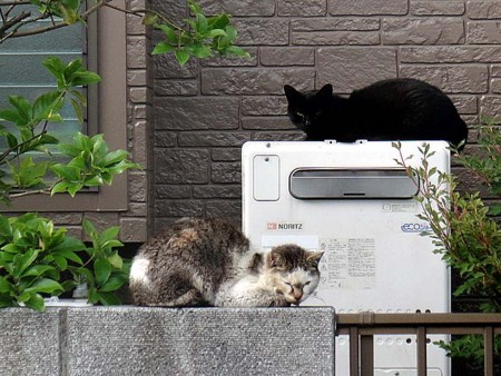f:id:fourvalley:20160902051343j:image