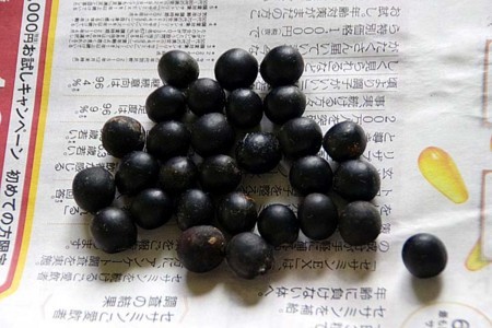 f:id:fourvalley:20170724053252j:image