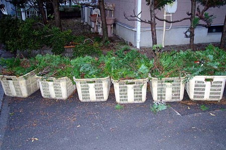 f:id:fourvalley:20171210172957j:image