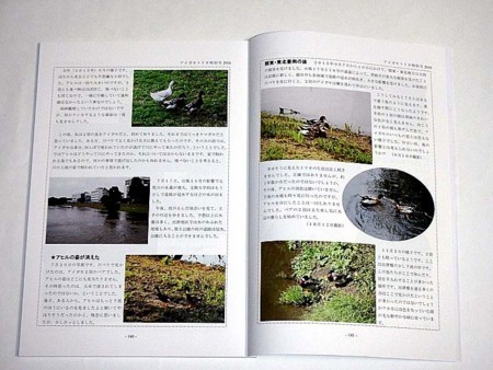 f:id:fourvalley:20180102140146j:image