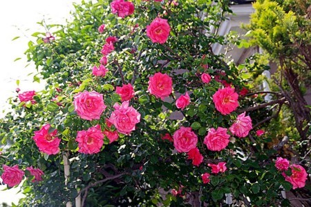 f:id:fourvalley:20180430104405j:image