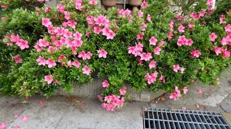 f:id:fourvalley:20180522050133j:image