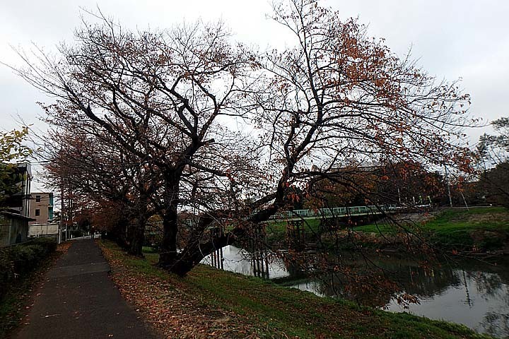 f:id:fourvalley:20181202155220j:plain