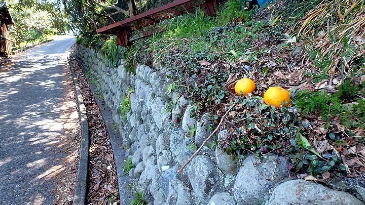 f:id:fourvalley:20190406172024j:plain