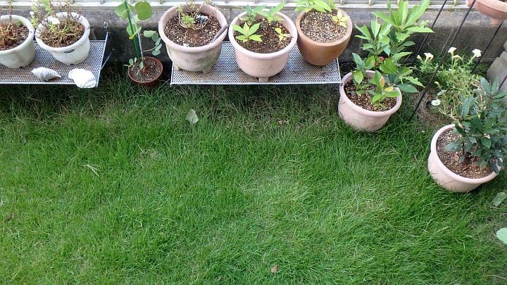 f:id:fourvalley:20210718054648j:plain