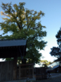 20121119045627
