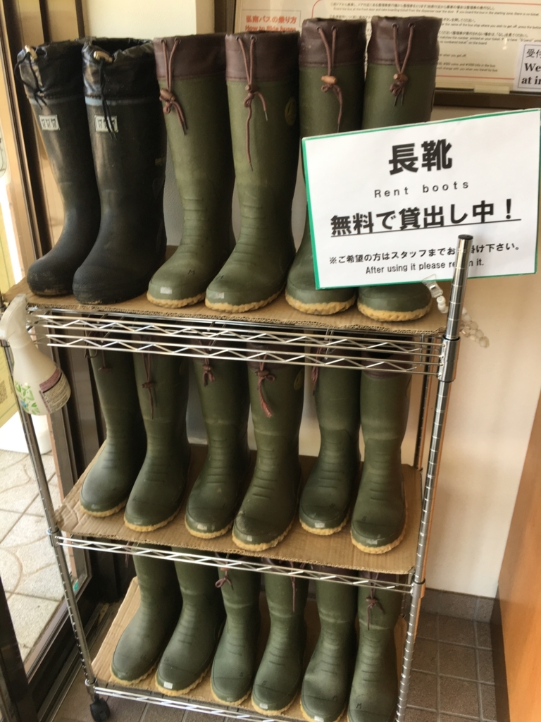 f:id:fox_tile:20180416223742j:plain