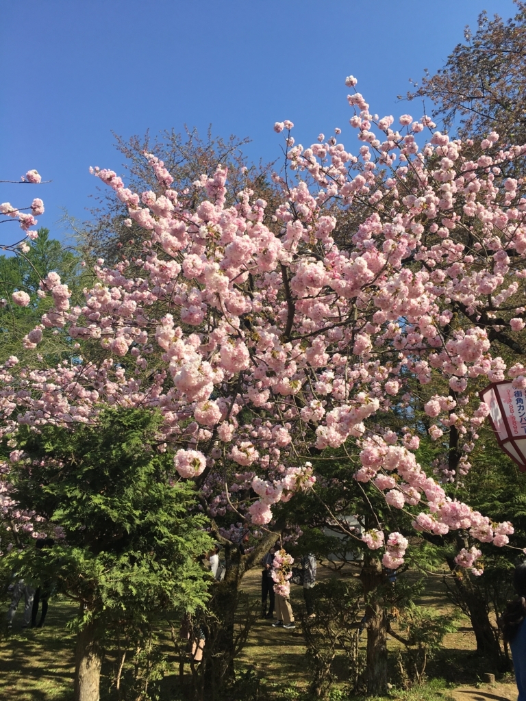 f:id:fox_tile:20180416223901j:plain