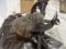 f:id:fox_zero:20130623212556j:image:small:left f:id:fox_zero:20130623212556j:image:small:left