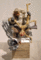 f:id:fox_zero:20130623212606j:image:small:left f:id:fox_zero:20130623212606j:image:small:left