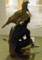f:id:fox_zero:20130630200253j:image:small:left f:id:fox_zero:20130630200253j:image:small:left