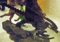 f:id:fox_zero:20130630200307j:image:small:left f:id:fox_zero:20130630200307j:image:small:left