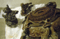 f:id:fox_zero:20130630200312j:image:small:left f:id:fox_zero:20130630200312j:image:small:left