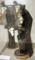 f:id:fox_zero:20130630200349j:image:small:left f:id:fox_zero:20130630200349j:image:small:left