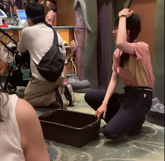 f:id:foxcafelate:20190526083520p:plain f:id:foxcafelate:20190526083520p:plain