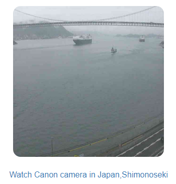 f:id:foxcafelate:20190615085744p:plain f:id:foxcafelate:20190615085744p:plain