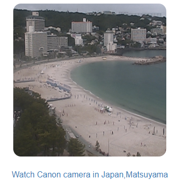 f:id:foxcafelate:20190615090006p:plain f:id:foxcafelate:20190615090006p:plain