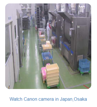 f:id:foxcafelate:20190615090059p:plain f:id:foxcafelate:20190615090059p:plain