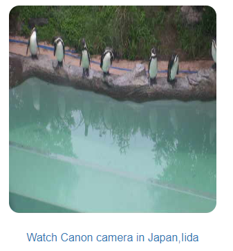 f:id:foxcafelate:20190615090515p:plain f:id:foxcafelate:20190615090515p:plain