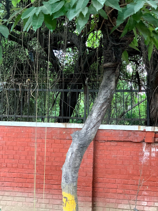 f:id:foxcafelate:20190811103556j:plain f:id:foxcafelate:20190811103556j:plain
