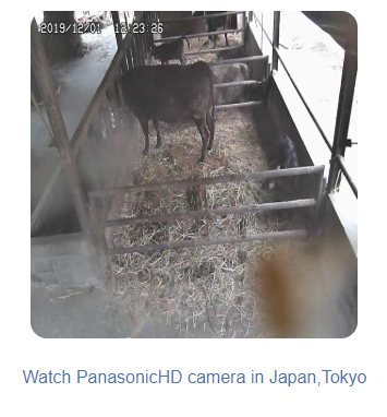f:id:foxcafelate:20191201122343p:plain f:id:foxcafelate:20191201122343p:plain