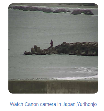 f:id:foxcafelate:20191201122517p:plain f:id:foxcafelate:20191201122517p:plain