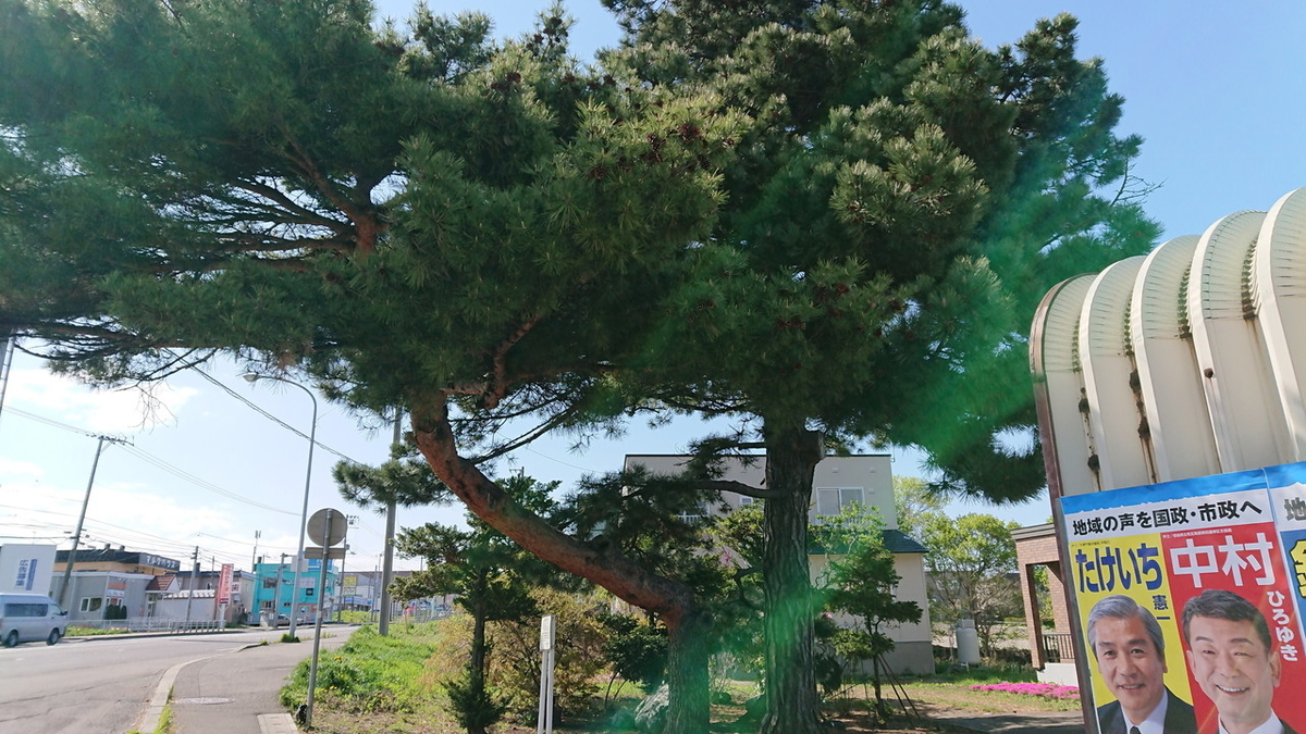 f:id:foxnumber6:20210512144430j:plain