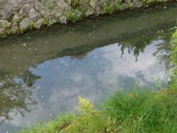 f:id:fp-3:20100430121757j:image