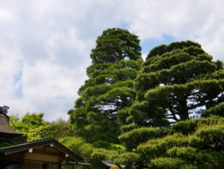 f:id:fp-3:20100430122932j:image