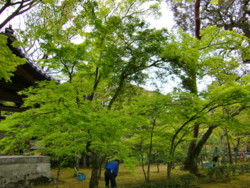 f:id:fp-3:20100430144402j:image