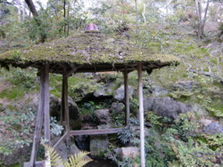 f:id:fp-3:20100430145832j:image